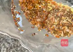 Walnut red rice paste recipe 4