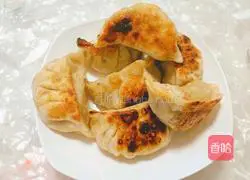 Illustration of handmade assorted fried dumplings 8