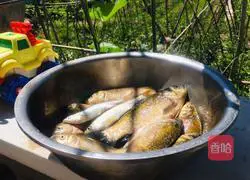 Wild crucian carp and winter melon Illustration of how to make soup 1
