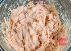 Baby Complementary Food - Mini Wonton Recipe Illustration 6