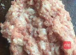 Leek and pork dumplings? Recipe 5