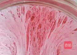 Pitaya fritters recipe 5