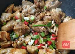 Illustration of Braised Chicken 3