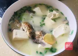 Illustration of how to make crucian carp, winter melon and tofu soup 8