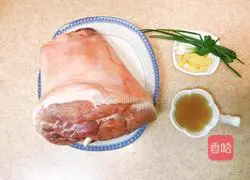 White Illustration of how to cut hoof legs 1