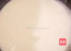 Freshly squeezed corn juice recipe 3