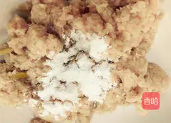 Illustration of how to make fish balls 6