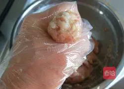 Mingchu Private Kitchen Tomato and Pork Meatballs Recipe Illustration 8