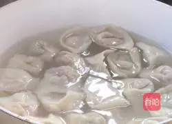 Illustration of how to make health and fitness wontons 12