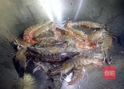 Illustration of braised shrimp in oil 3