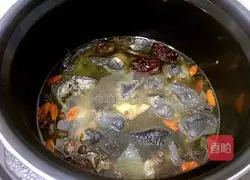 Recipe for tea tree mushroom black-bone chicken soup (pressure cooker version) Illustration 9