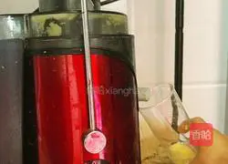 Passion Fruit Lotus Mist Apple Illustration of making juice 3