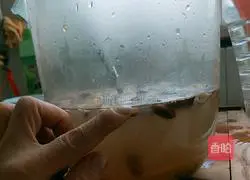 Illustration of how to make grain and bean paste 6