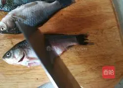 Illustration of how to make crucian carp tofu soup 4