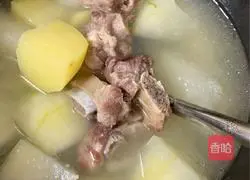 Winter Melon, Potato and Spare Ribs Soup Recipe Illustration 8
