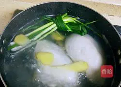 Chicken Soup Luffa Recipe Illustration 6