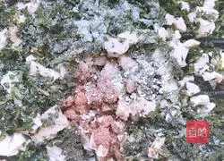 Illustration of how to make dumplings stuffed with shepherd's purse and tofu stuffing 4