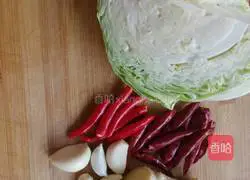 Hot Illustration of how to make kohlrabi 1