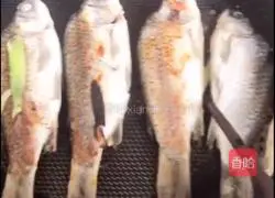 Wild Illustration of how to make crucian carp tofu soup 5