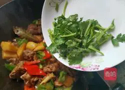 Illustration of how to cook duck legs stewed with potatoes 14