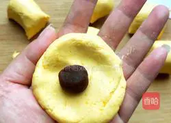 Pumpkin pie recipe 10