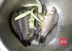 Wild crucian carp tofu soup recipe 3