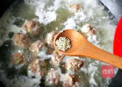 Illustration of how to make fungus and vegetable meatball soup 14