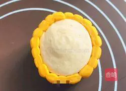 True and fake corn buns Practice illustration 13