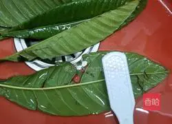 Illustration of cooking loquat leaves 2