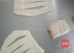 Fryer Illustration of how to make Bizi 3