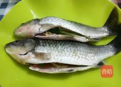 Illustration of how to make braised crucian carp soup 4