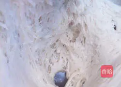 Illustration of how to make butterfly steamed buns 3