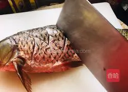 Illustration of home-cooked braised fish 1