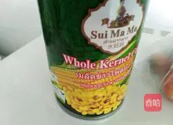 Shaomai Practice illustration 3