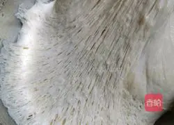 Illustration of proofing noodles 11