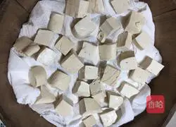 Illustration of homemade tofu curd 7