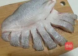 Illustration of steamed sea bass 5