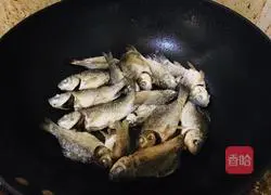 Wild crucian carp and winter melon soup recipe 3
