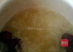 Illustration of how to make red dates, papaya and white fungus soup 6
