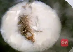 Illustration of how to make crucian carp tofu soup 7