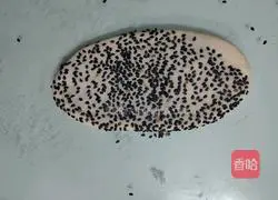 Illustration of how to make crispy cakes with crumbs 10