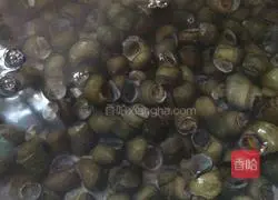 How to make spicy snails Illustration 3