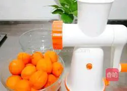 Yellow apricot jam recipe 2