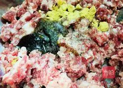 Western Illustration of how to make vegetable and pork dumplings 3