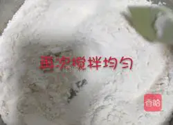 Illustration of homemade low-gluten flour 5