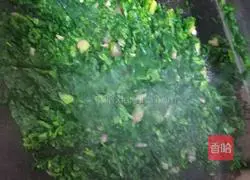 Spinach noodles recipe 3