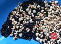 Illustration of making black rice, barley and soy milk 2