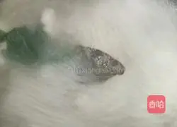 Winter Melon Pork Ribs Soup Recipe Illustration 3