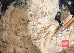 Illustration of how to make vegetarian dumplings 1