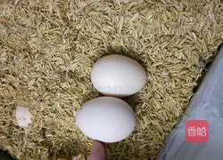 Illustration of how to make steamed tender local eggs 2